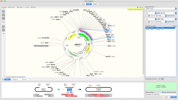 SnapGene molecular cloning software screenshot