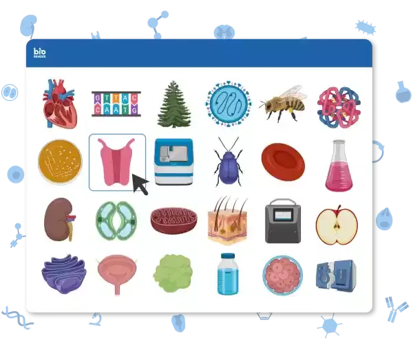 BioRender icon library