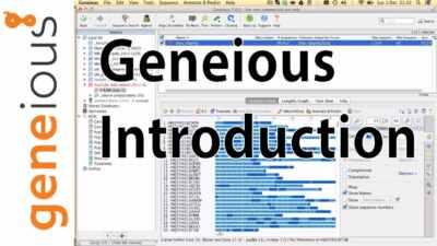 Interface and Importing