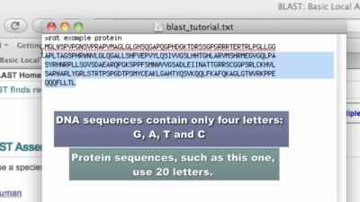 NCBI Blast