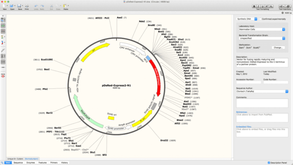 Automatically View Plasmid Features