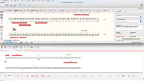 SnapGene data sharing