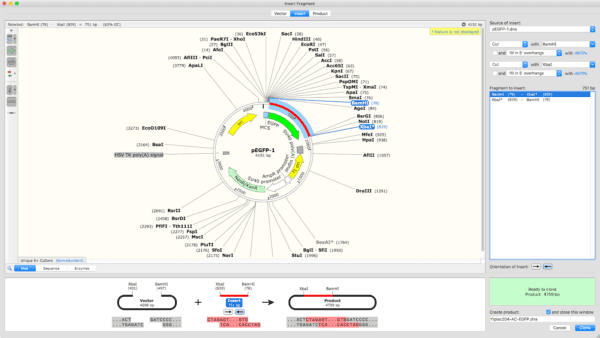 Beyond the basics of molecular cloning