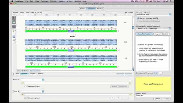 In-Fusion Cloning