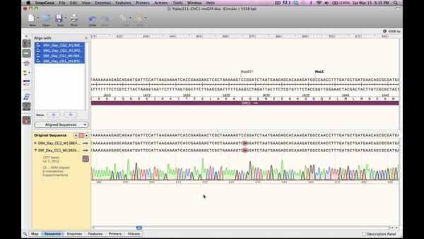 Aligning to a Reference DNA Sequence