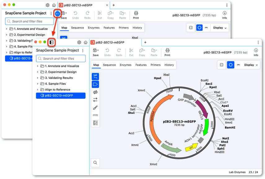 SnapGene Download | SnapGene 5.3 – Latest Version Features