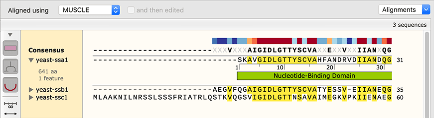 SnapGene 5.3 Multiple Sequence Alignment