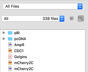 SnapGene Collections – All Files area