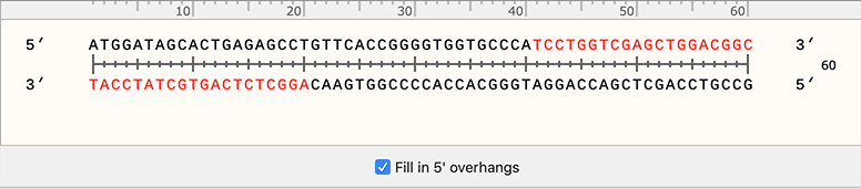 SnapGene – Fill In Annealed Oligos