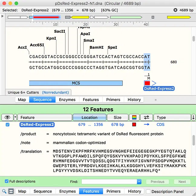 SnapGene 5 – Optional Split View