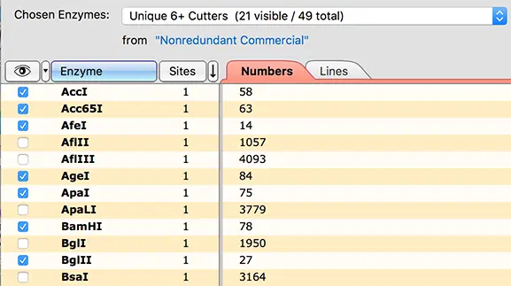 SnapGene 5 – Enzyme Visibility Controls