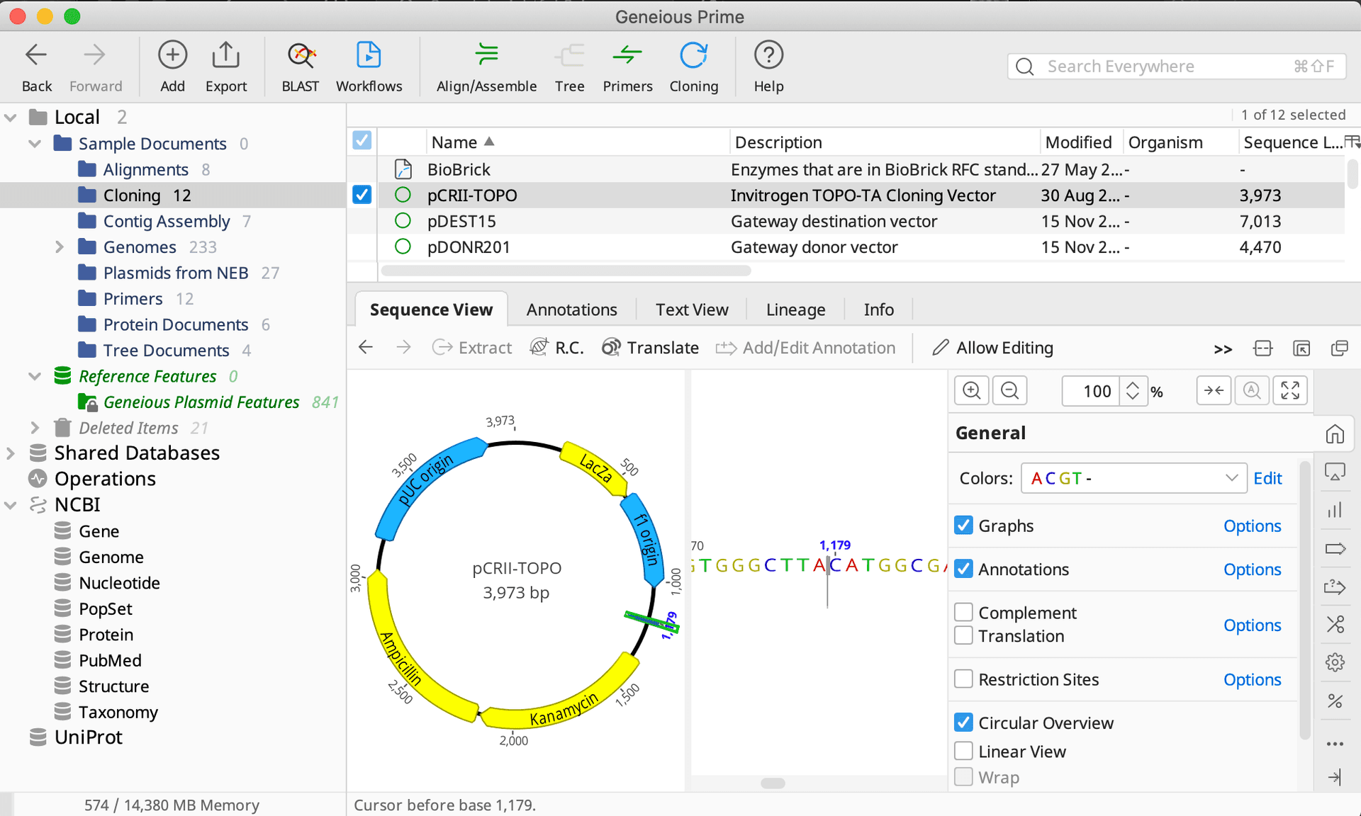 Sequence analysis in Geneious Prime
