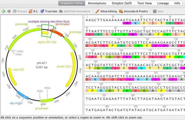 Molecular biology tools in Geneious Prime