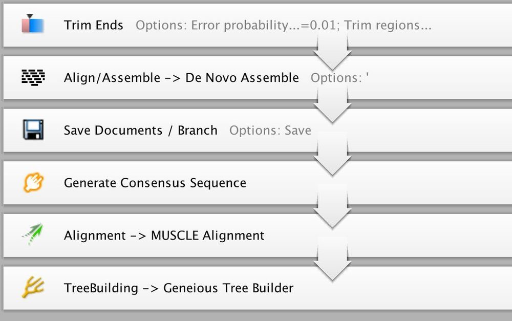 Creating Workflows