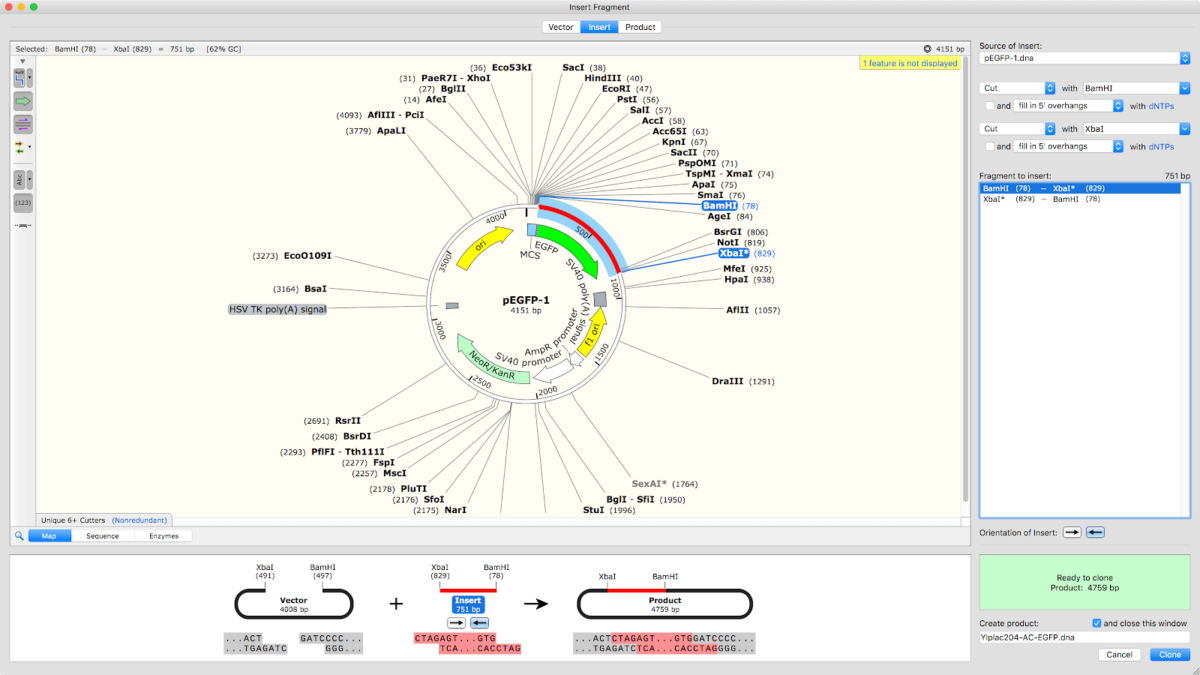 snapgene feature database snapgene feature database